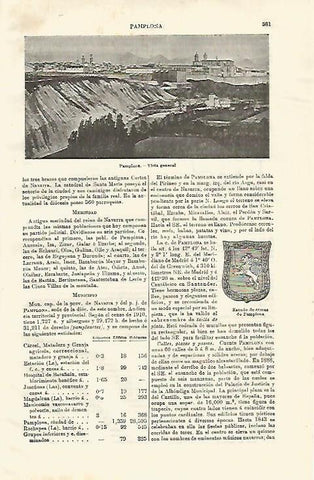 LAMINA ESPASA 23512: Vista y escudo de Pamplona