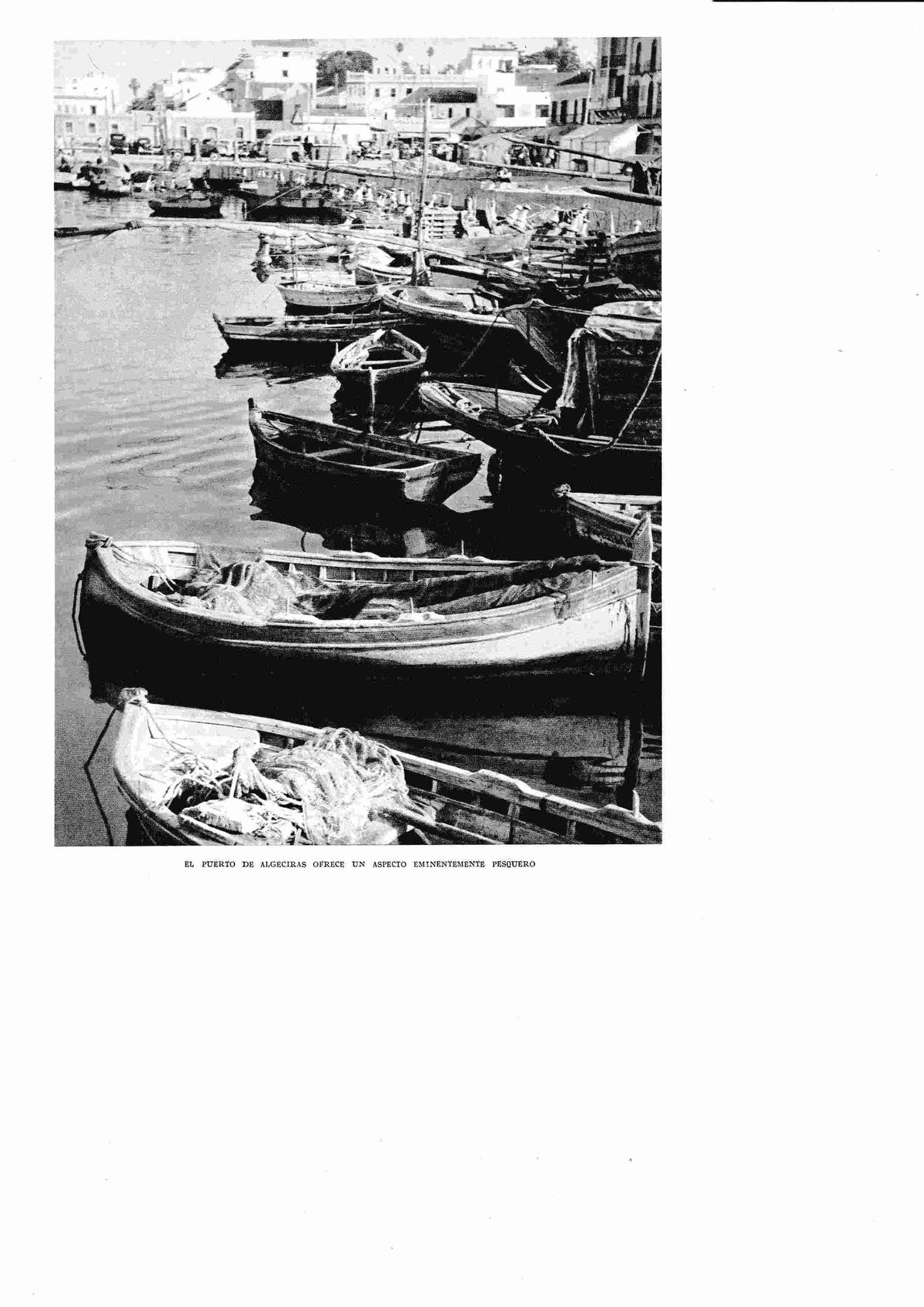 LAMINA 6455: Puerto de Algeciras 