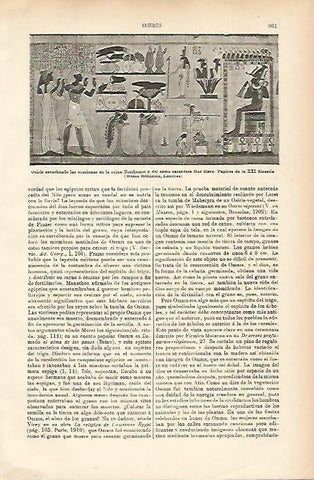 LAMINA ESPASA 7792: Papiro de la XXI Dinastia 
