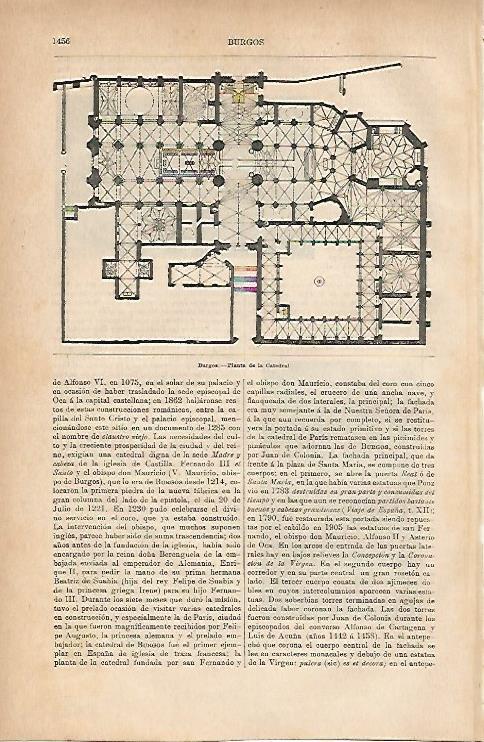 LAMINA ESPASA 11903: Planta de la Catedral de Burgos