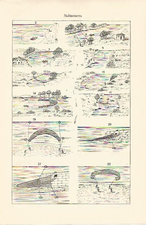 LAMINA ESPASA 18188: Tipos de salmonera
