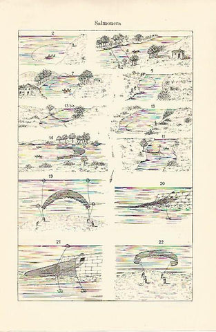 LAMINA ESPASA 18188: Tipos de salmonera