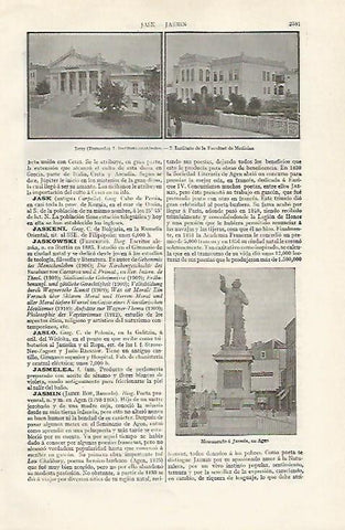 LAMINA ESPASA 20991: Instituto Anatomico de Jassy Rumania