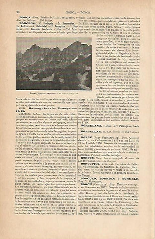 LAMINA ESPASA 11771: Hotel des Dolomites en Borca Italia