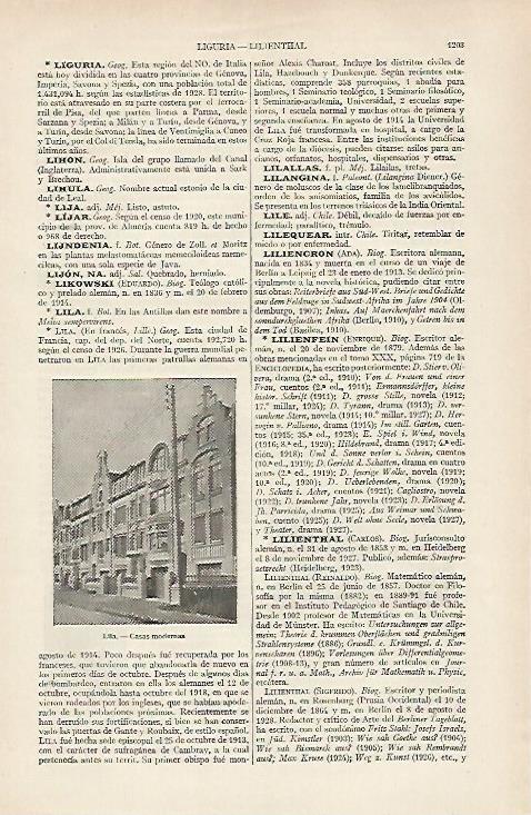 LAMINA ESPASA 19798: Casas modernas de Lila Francia
