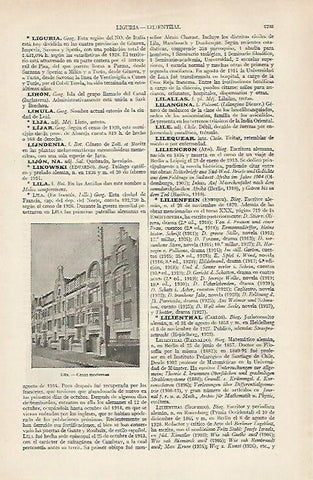 LAMINA ESPASA 19798: Casas modernas de Lila Francia