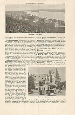 LAMINA ESPASA 19318: Vista de Rudesheim Alemania