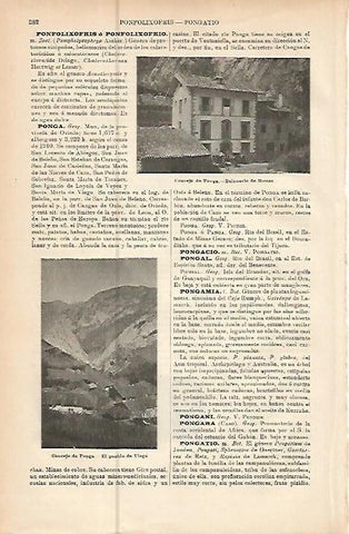 LAMINA ESPASA 10482: Vistas de Concejo de Ponga Oviedo
