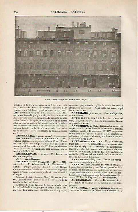LAMINA ESPASA 23812: Palacio Antellesi en Florencia
