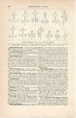 LAMINA ESPASA 6948: Filigranas de papel con el dibujo de un ancla