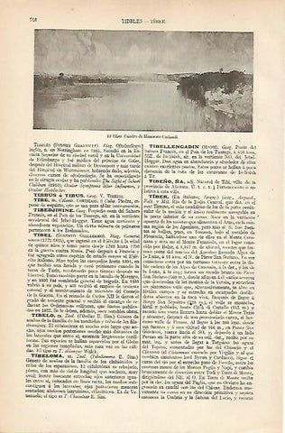 LAMINA ESPASA 8381: El Tiber cuadro de Carlandi