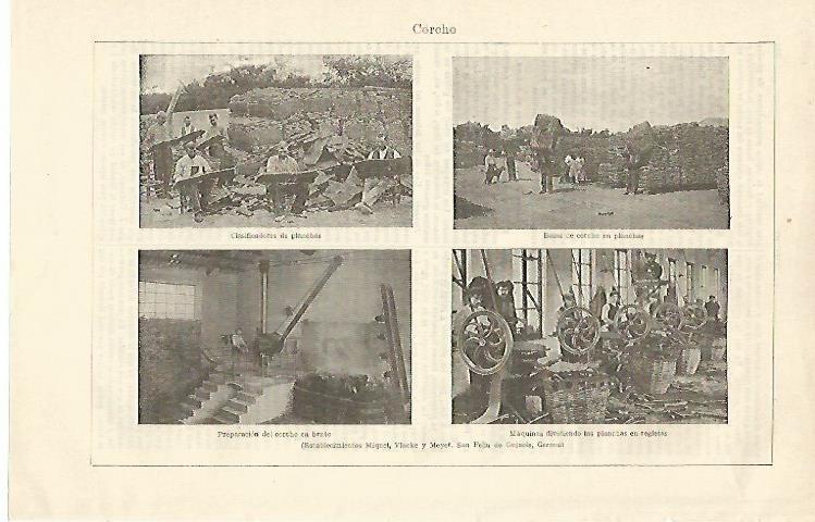 LAMINA ESPASA 14933: Establecimientos de corcho en San Feliu de Guixols