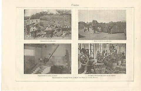 LAMINA ESPASA 14933: Establecimientos de corcho en San Feliu de Guixols