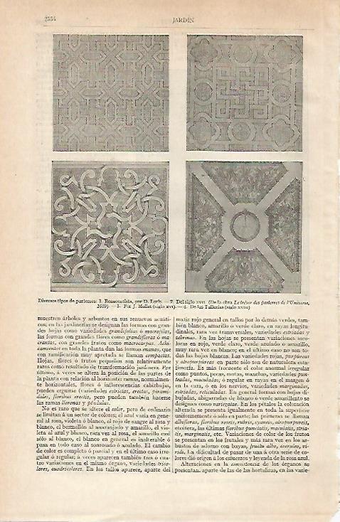 LAMINA ESPASA 20979: Tipos de parterres