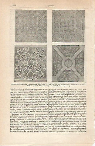 LAMINA ESPASA 20979: Tipos de parterres