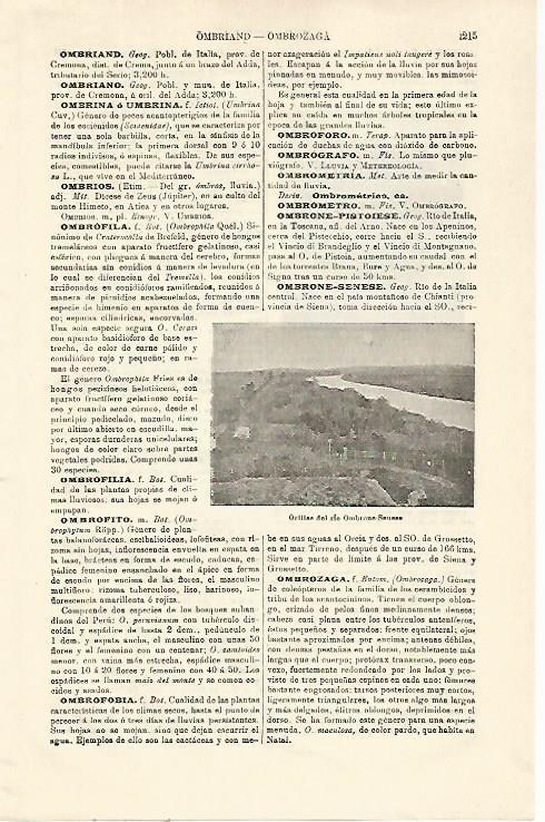 LAMINA ESPASA 21398: Rio Ombrone-Senese