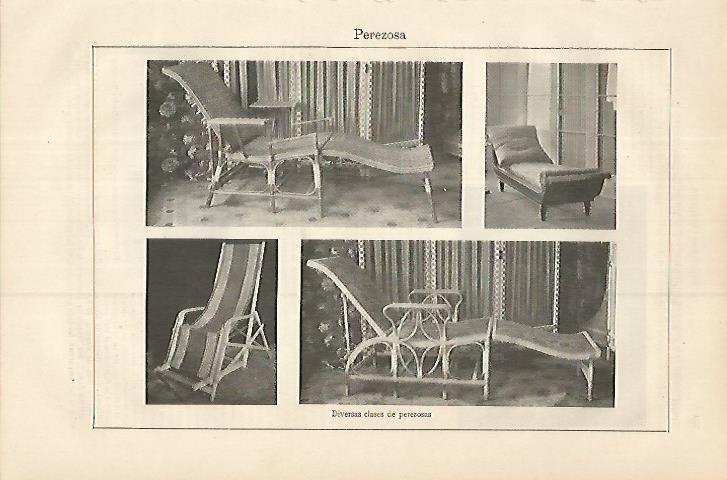 LAMINA ESPASA 17998: Tipos de perezosas