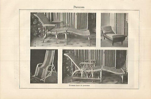 LAMINA ESPASA 17998: Tipos de perezosas