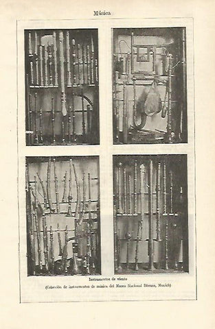 LAMINA ESPASA 24599: Instrumentos de viento