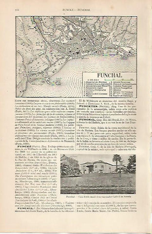 LAMINA ESPASA 24730: Plano de Funchal (Portugal)