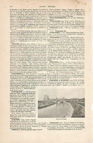 LAMINA ESPASA 24752: Bocas del Fusaro