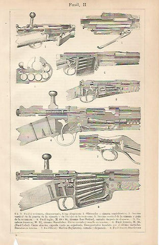 LAMINA ESPASA 24755: Tipos de fusil