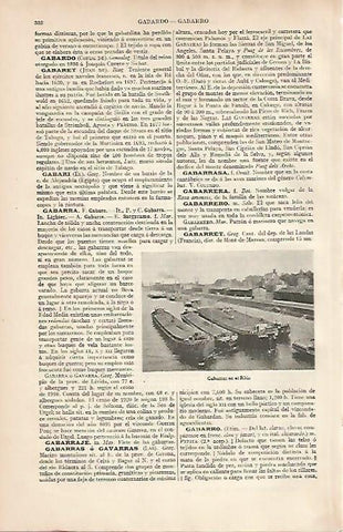 LAMINA ESPASA 24770: Gabarras en el Rhin