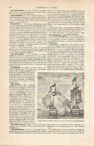 LAMINA ESPASA 24795: Combate entre galeon español y un corsario ingles