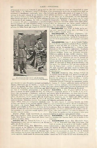 LAMINA ESPASA 24803: El Principe de Gales con Lord Kenyon