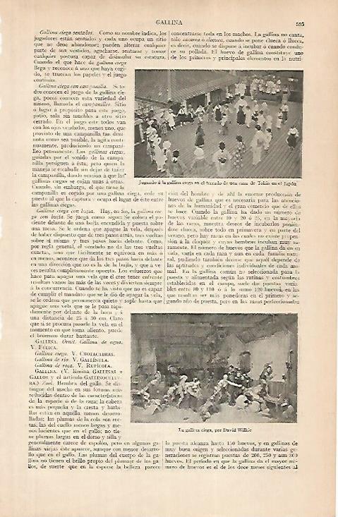 LAMINA ESPASA 24828: Una casa de Tokio