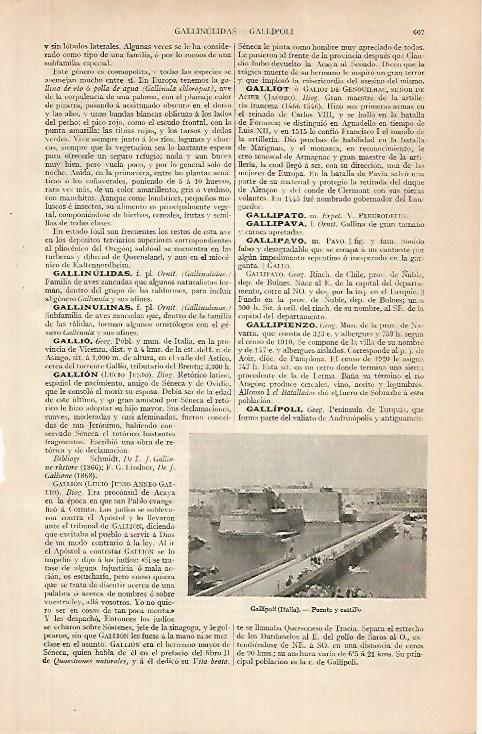 LAMINA ESPASA 24832: Puente y Castillo de Gallipolli en Italia