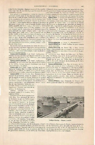 LAMINA ESPASA 24832: Puente y Castillo de Gallipolli en Italia
