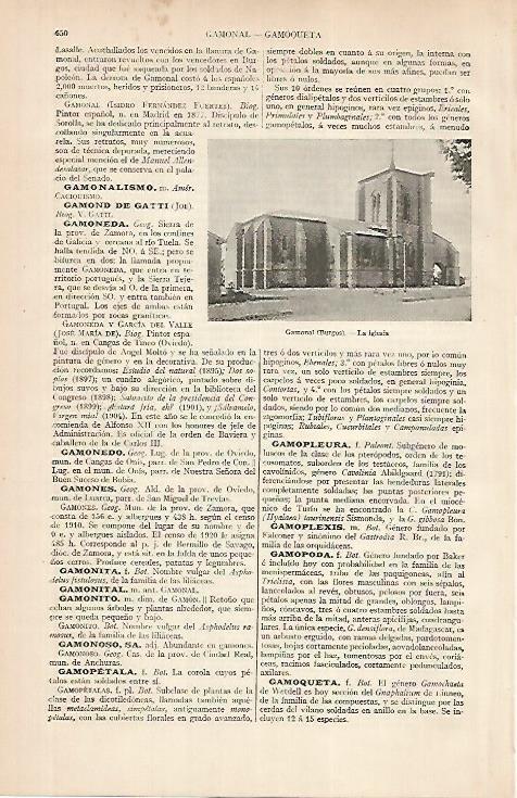 LAMINA ESPASA 24841: Iglesia de Gamonal en Burgos