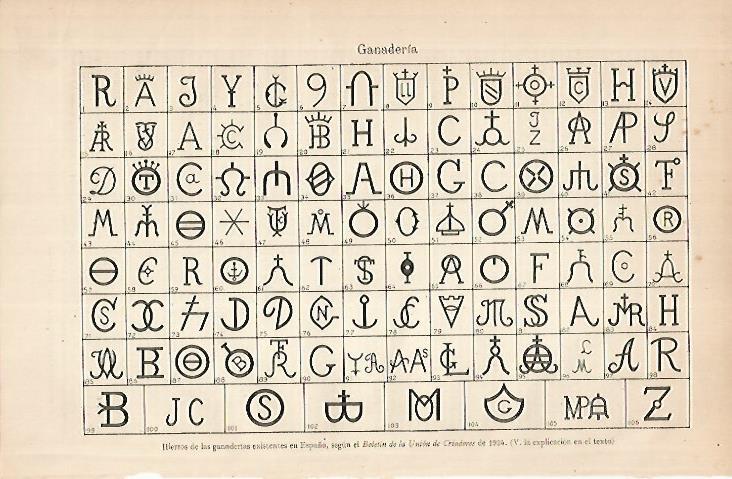 LAMINA ESPASA 24843: Hierros de las ganaderias de España