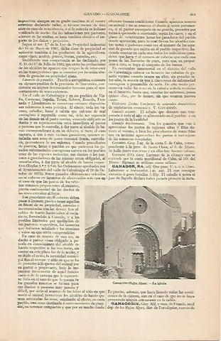 LAMINA ESPASA 24844: Iglesia de Ganagobie