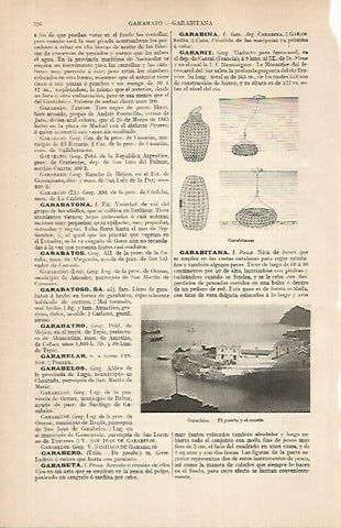 LAMINA ESPASA 24861: Puerto y muelle de Garachico