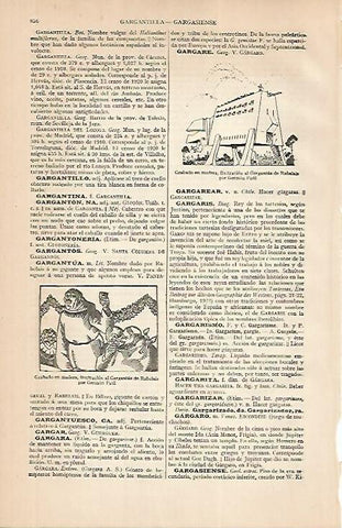 LAMINA ESPASA 24879: Grabados en madera