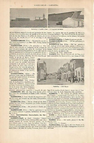 LAMINA ESPASA 24890: Castillo y Faro de Garrucha