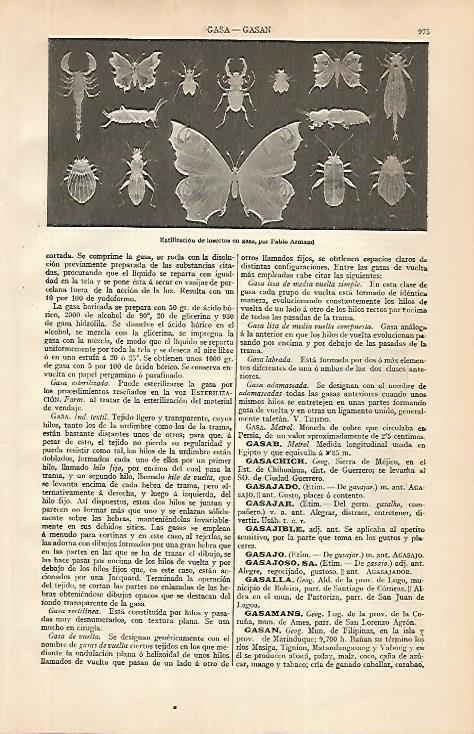 LAMINA ESPASA 24898: Estilizacion de insectos en gasa por P. Armand