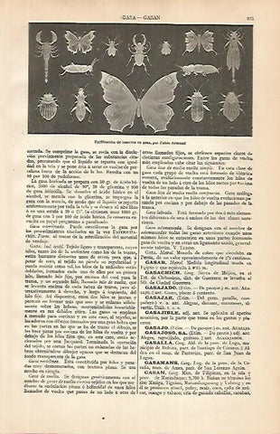 LAMINA ESPASA 24898: Estilizacion de insectos en gasa por P. Armand