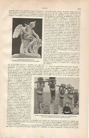 LAMINA ESPASA 24932: El genio por Querol