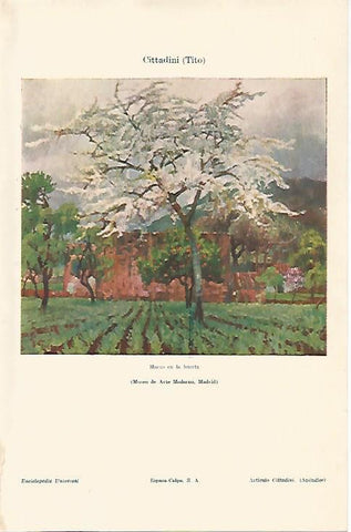 LAMINA ESPASA 24996: Marzo en la huerta por Tito Cittadini