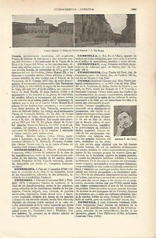 LAMINA ESPASA 25066: Vistas de Cuneo Italia