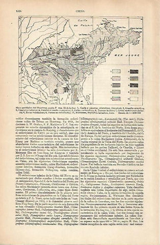 LAMINA ESPASA 25112: Mapa geologico del Shantung
