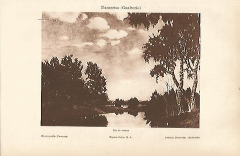 LAMINA ESPASA 25121: Dia de verano por G. Damerius
