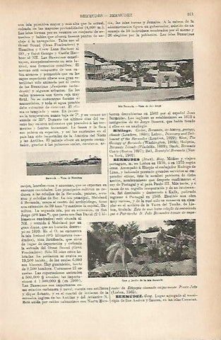 LAMINA ESPASA 25179: Isla de Bermuda