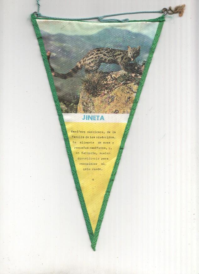 BANDERIN: JINETA - Banderin Explicativo sobre la jineta con foto y texto