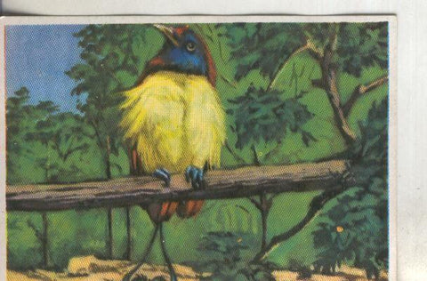 Cromos: Historia Natural numero 321
