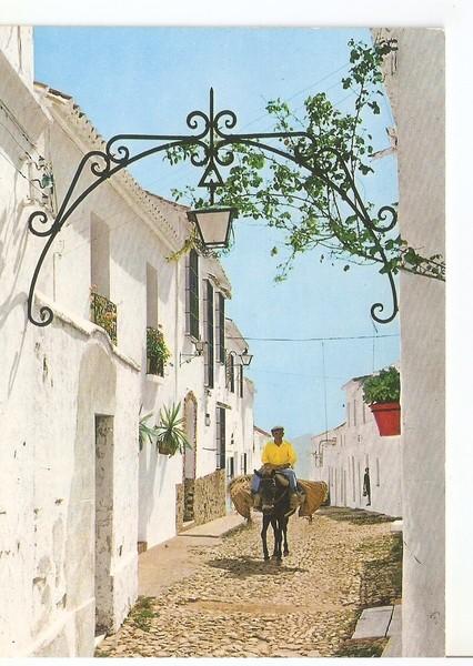 Postal 046849 : Costa del Sol - Mijas. Calle tipica