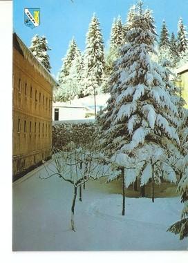 Postal 048010 : Roncesvalles (Navarra). Paisaje nevado de Roncesvalles